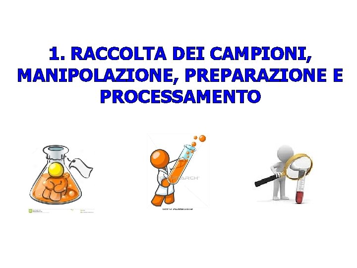 1. RACCOLTA DEI CAMPIONI, MANIPOLAZIONE, PREPARAZIONE E PROCESSAMENTO 