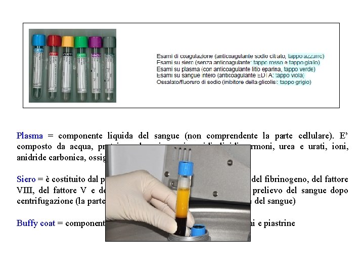Plasma = componente liquida del sangue (non comprendente la parte cellulare). E’ composto da