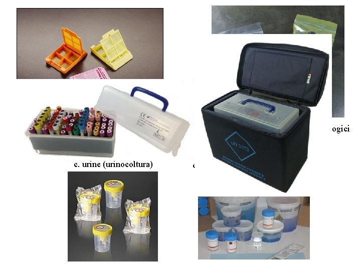 inclusione biopsie in paraffina c. urine (urinocoltura) Sacchetti trasporto campioni biologici c. pezzi chirurgici