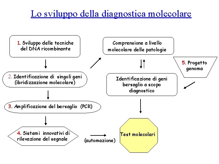Lo sviluppo della diagnostica molecolare 1. Sviluppo delle tecniche del DNA ricombinante Comprensione a