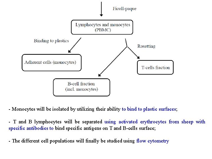 - Monocytes will be isolated by utilizing their ability to bind to plastic surfaces;