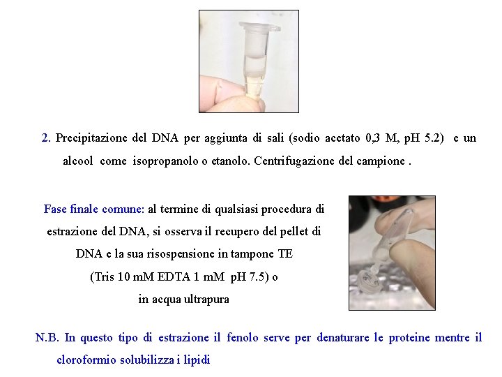 2. Precipitazione del DNA per aggiunta di sali (sodio acetato 0, 3 M, p.