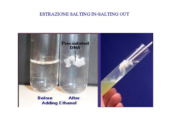 ESTRAZIONE SALTING IN-SALTING OUT 