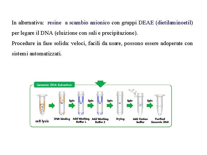 In alternativa: resine a scambio anionico con gruppi DEAE (dietilaminoetil) per legare il DNA