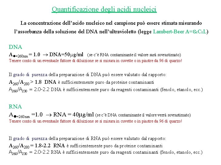 Quantificazione degli acidi nucleici La concentrazione dell’acido nucleico nel campione può essere stimata misurando