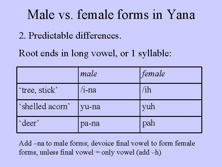 Male vs. female forms in Yana 2. Predictable differences. Root ends in long vowel,