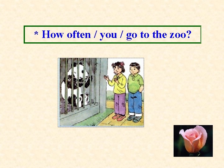 * How often / you / go to the zoo? 