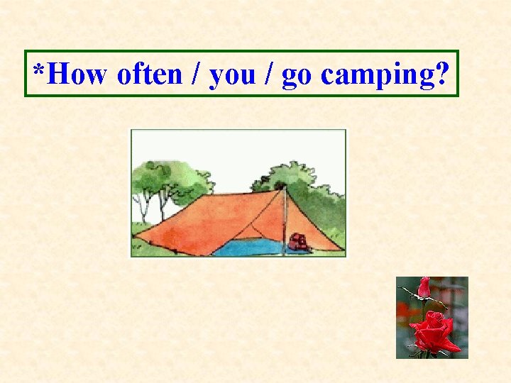 *How often / you / go camping? 