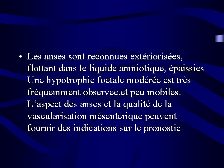  • Les anses sont reconnues extériorisées, flottant dans le liquide amniotique, épaissies Une