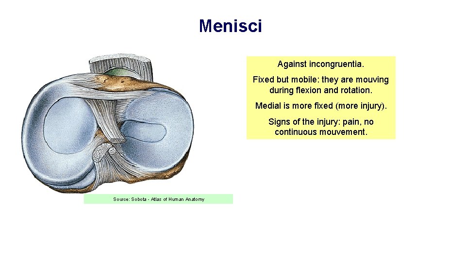 Menisci Against incongruentia. Fixed but mobile: they are mouving during flexion and rotation. Medial