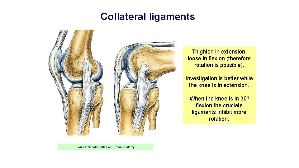 Collateral ligaments Thighten in extension, loose in flexion (therefore rotation is possible). Investigation is