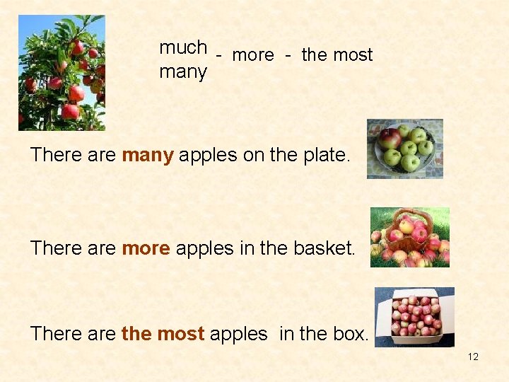 much - more - the most many There are many apples on the plate.