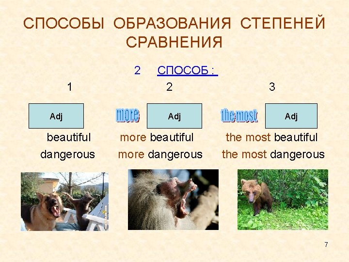 СПОСОБЫ ОБРАЗОВАНИЯ СТЕПЕНЕЙ СРАВНЕНИЯ 2 1 Adj beautiful dangerous СПОСОБ : 2 Adj more