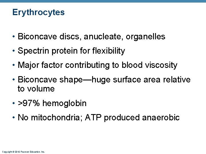 Erythrocytes • Biconcave discs, anucleate, organelles • Spectrin protein for flexibility • Major factor