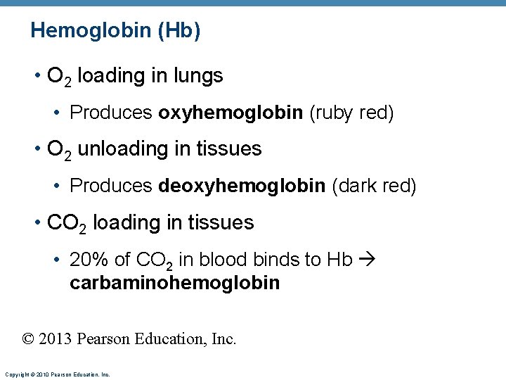 Hemoglobin (Hb) • O 2 loading in lungs • Produces oxyhemoglobin (ruby red) •