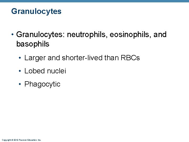 Granulocytes • Granulocytes: neutrophils, eosinophils, and basophils • Larger and shorter-lived than RBCs •