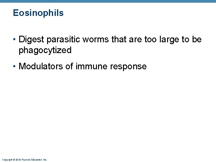 Eosinophils • Digest parasitic worms that are too large to be phagocytized • Modulators
