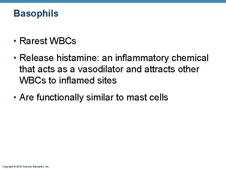 Basophils • Rarest WBCs • Release histamine: an inflammatory chemical that acts as a