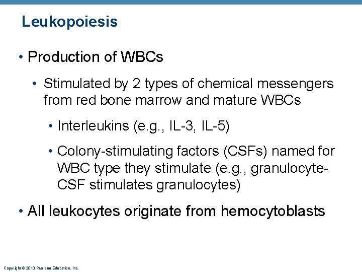 Leukopoiesis • Production of WBCs • Stimulated by 2 types of chemical messengers from