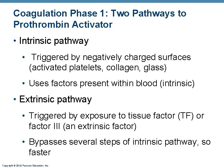 Coagulation Phase 1: Two Pathways to Prothrombin Activator • Intrinsic pathway • Triggered by