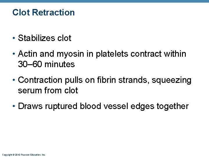 Clot Retraction • Stabilizes clot • Actin and myosin in platelets contract within 30–