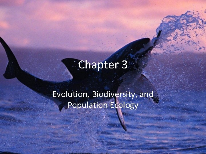 Chapter 3 Evolution, Biodiversity, and Population Ecology 