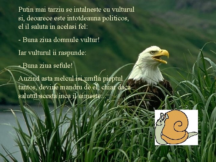 Putin mai tarziu se intalneste cu vulturul si, deoarece este intotdeauna politicos, el il