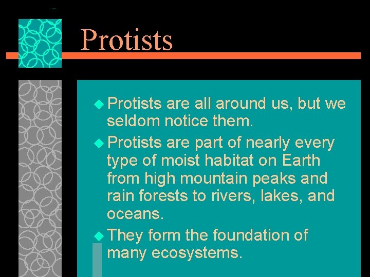 Protists u Protists are all around us, but we seldom notice them. u Protists