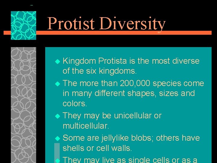 Protist Diversity Kingdom Protista is the most diverse of the six kingdoms. u The