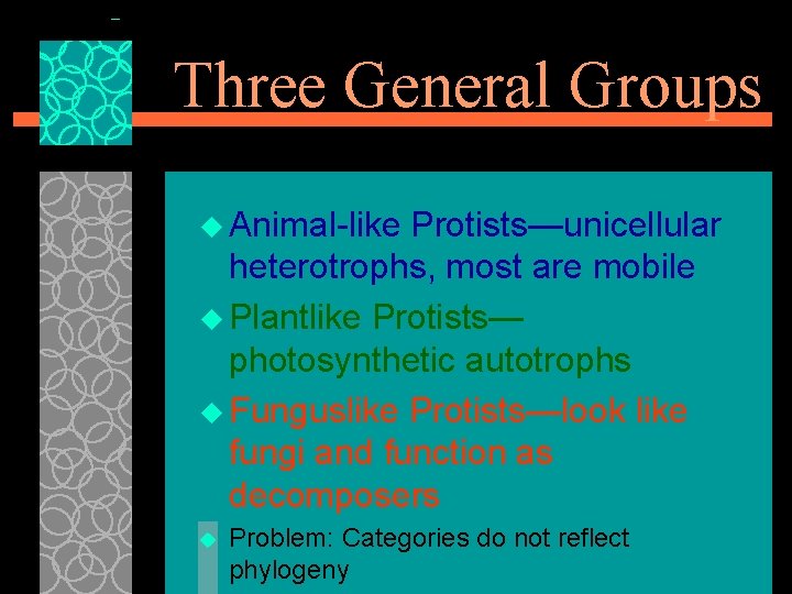 Three General Groups u Animal-like Protists—unicellular heterotrophs, most are mobile u Plantlike Protists— photosynthetic