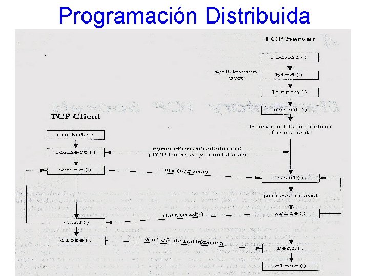 Programación Distribuida 