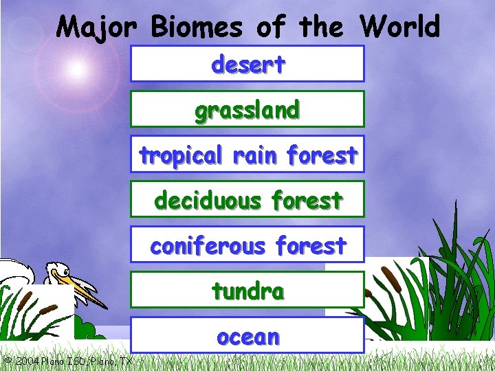 Major Biomes of the World desert grassland tropical rain forest deciduous forest coniferous forest