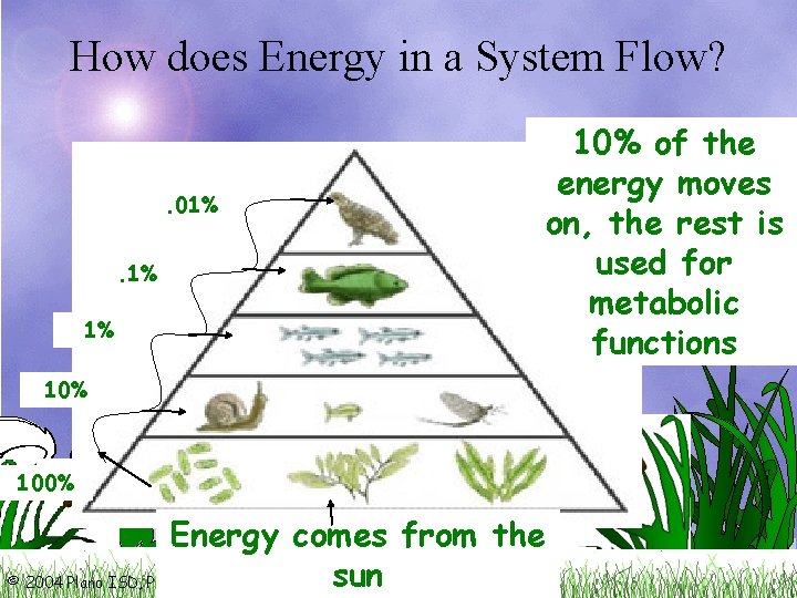 How does Energy in a System Flow? . 01%. 1% 1% 10% of the