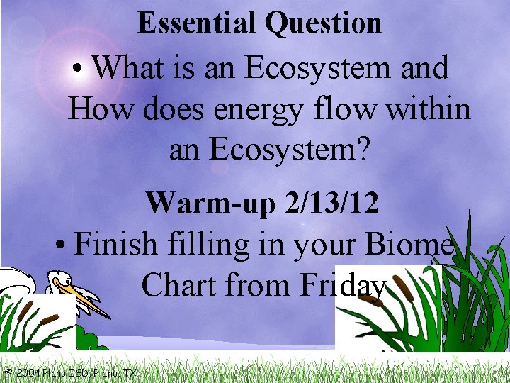 Essential Question • What is an Ecosystem and How does energy flow within an