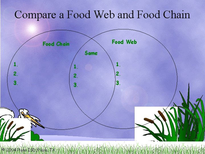 Compare a Food Web and Food Chain Food Web Food Chain Same 1. 2.