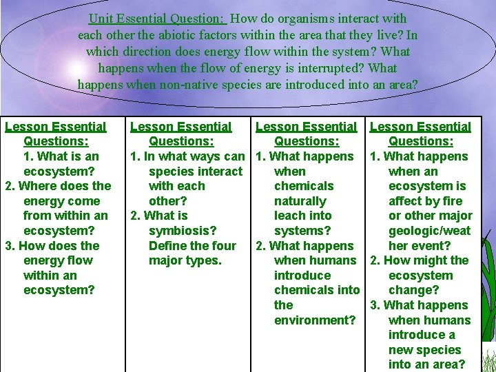 Unit Essential Question: How do organisms interact with each other the abiotic factors within