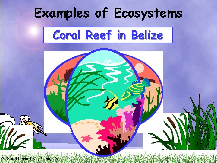 Examples of Ecosystems Mountains Coral Arizona Reefin. Desert in. Colorado Belize © 2004 Plano