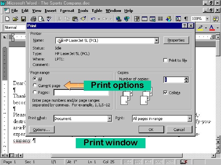 Print options Print window 54 