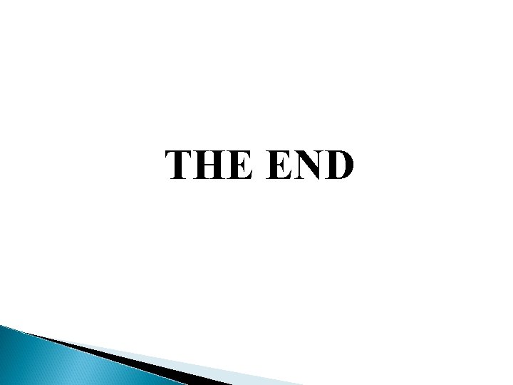 THE END 