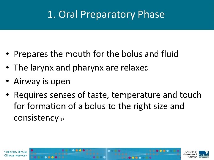1. Oral Preparatory Phase • • Prepares the mouth for the bolus and fluid