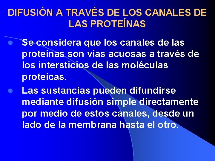 DIFUSIÓN A TRAVÉS DE LOS CANALES DE LAS PROTEÍNAS Se considera que los canales