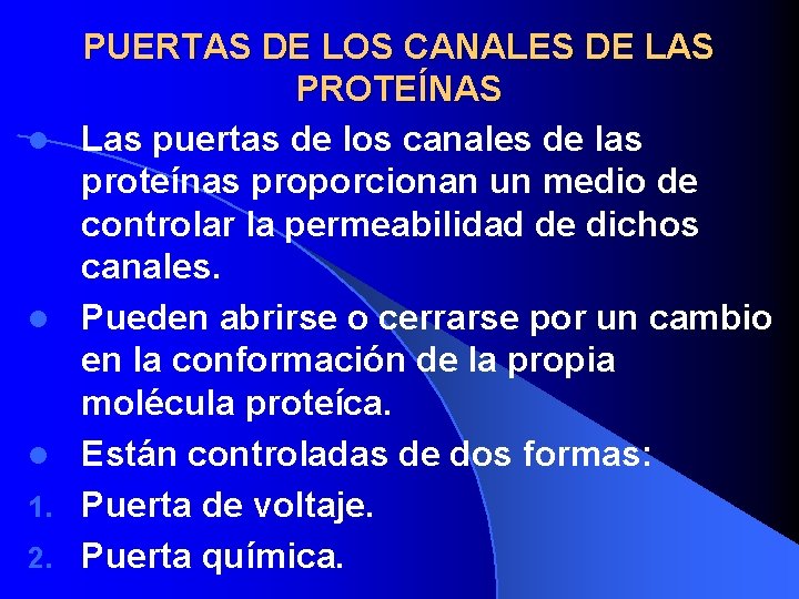 l l l 1. 2. PUERTAS DE LOS CANALES DE LAS PROTEÍNAS Las puertas