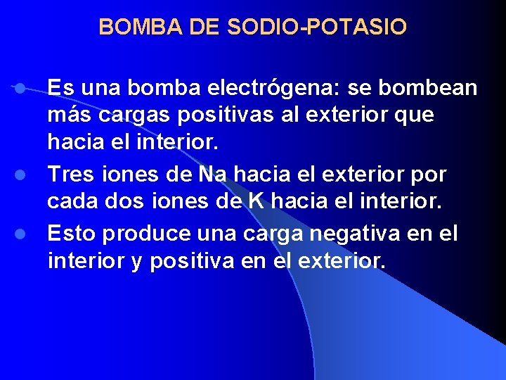 BOMBA DE SODIO-POTASIO Es una bomba electrógena: se bombean más cargas positivas al exterior