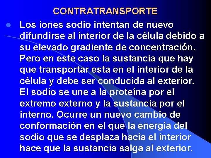 CONTRATRANSPORTE l Los iones sodio intentan de nuevo difundirse al interior de la célula