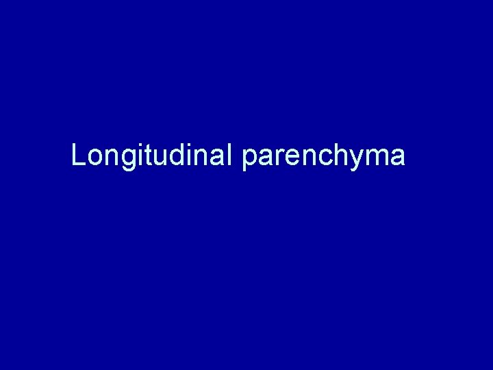 Longitudinal parenchyma 