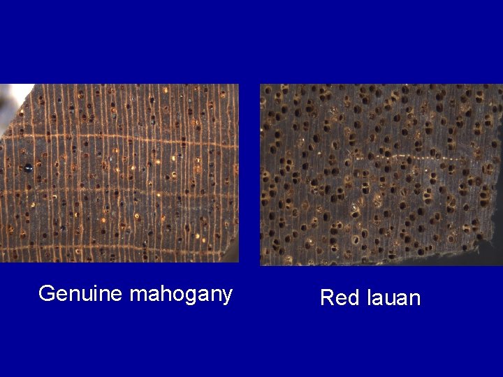 Genuine mahogany Red lauan 