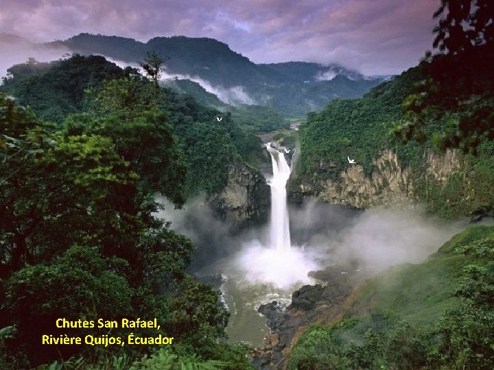 Chutes San Rafael, Rivière Quijos, Écuador 