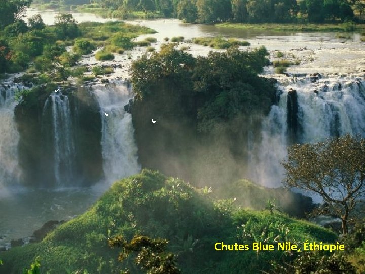 Chutes Blue Nile, Éthiopie 