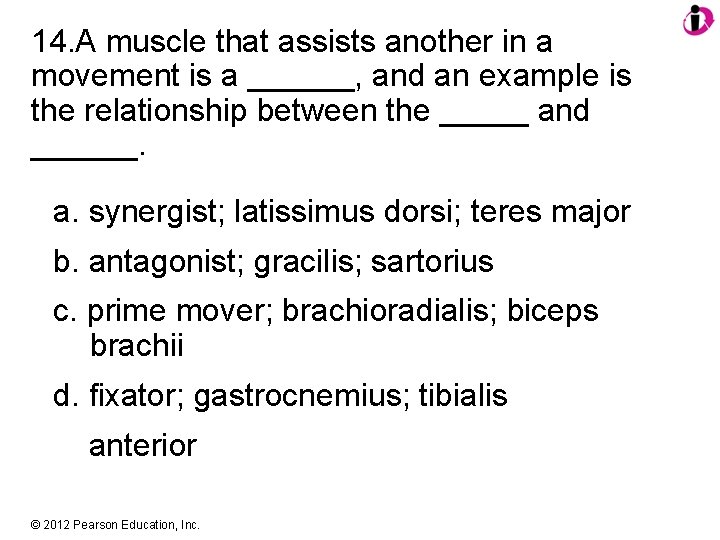 14. A muscle that assists another in a movement is a ______, and an