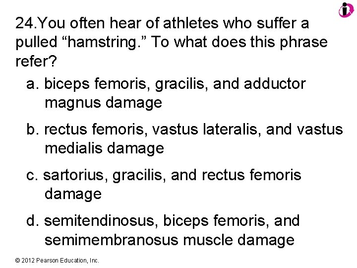 24. You often hear of athletes who suffer a pulled “hamstring. ” To what